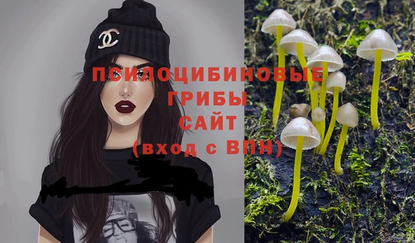 героин Алзамай