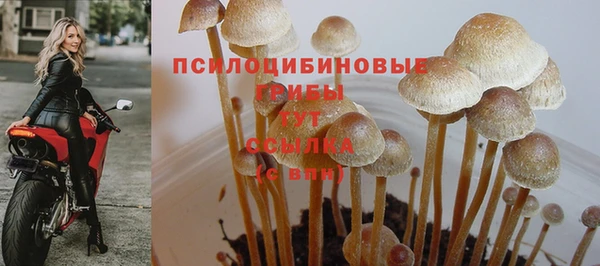 дистиллят марихуана Приозерск