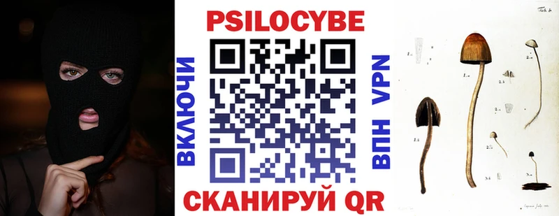 mega ССЫЛКА  где купить наркотик  Вихоревка  Галлюциногенные грибы Psilocybe 